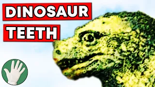 Dinosaur Teeth - Objectivity 110