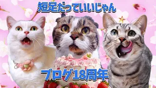 『短足だっていいじゃん』創立18周年記念動画！