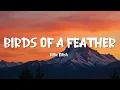 Billie Eilish - BIRDS OF A FEATHER (Lyrics)