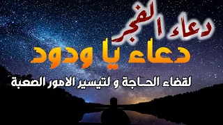  دعاء  الفجر دعاء  يا ودود لقضاء الحاجة  وتيسير الأمور الصعبة  يسر الله اموركم لا تضيع أجره   دندنها