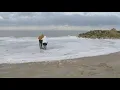 Lake Erie seiche draws visitors to Maumee Bay State Park