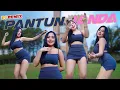 Download Lagu DJ PANTUN JANDA (Remix)