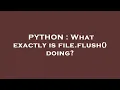 PYTHON What exactly is file flush doing