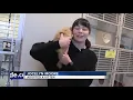 New Idaho Humane Society opens doors