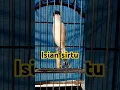 Download Lagu Cendet isian sirtu atau cipoh, mantap #cendetprestasi #cendetgacor