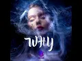 Download Lagu WHY ( ALDO KAMS REMIX )