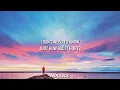 Ashley Kutcher - If I Could (Lyrics)