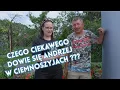 Download Lagu Po jaka poradę przyjechał Andrzej do Justyny i Łukasza Nowa dostawa Jajkokoszki Rolnicy z Podlasia