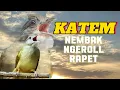 Download Lagu SUARA MASTERAN BURUNG KAPAS TEMBAK MEWAH. NGEROL NEMBAK SPEED RAPET .COCOK UNTUK MATERI BURUNG LOMBA