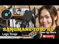 Download Lagu Sangmane Toto'ku - Shara Cover