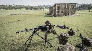 Ethiopia Declares State Of Emergency In Amhara Region 
