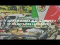Molotov - Frijolero // Letra
