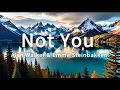 Download Lagu Alan Walker \u0026 Emma Steinbakken - Not You (Lyrics)