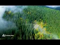 Cozy October 🍂 Relaxing Coffee Melody & Acoustic Chill Cafe ~ Indie/Pop/Folk/Acoustic Playlist