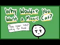 The PROBLEMS with Pathfinder 2e s Familiars