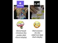 Download Lagu True. #rochatai  #characterai #cai #memes #fyp