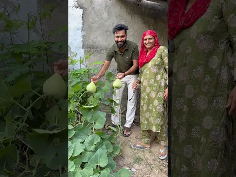 Ghar mae chori ho gyi😂..#minivlog #dailyshorts #shorts #family #village