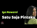 Download Lagu Iga Mawarni  -  Satu Saja Pintaku  (Lirik Lagu)