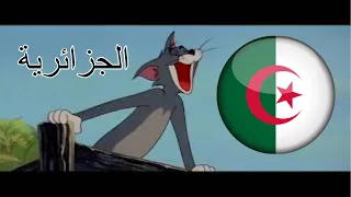توم و جيري باللهجة الجزائرية اضحك مع اللهجة الجزائرية 