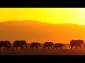 Ten Walls - Walking With Elephants (Original Mix)