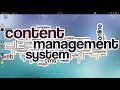 What is CMS CMS Testing