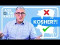Kosher Explained in less than 3 Minutes Ask The Rabbi