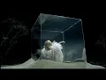 Download Lagu shela / Baby's breath -Music Video-