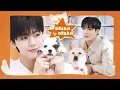 Lagu ⋆˚ʚ강아지와 강아지의 만남ɞ˚⋆ 🐶제노\u0026재민🐰의 멍집사 데뷔전 🦴 《제대로 멍멍》 | 드림 바이 드림 | DREAM x DREAM