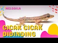 Download Lagu LAGU CICAK CICAK DI DINDING - Lagu Anak Anak