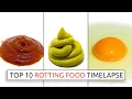 Download Lagu Top 10 Rotting Food Timelapses