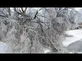 12-30-2020 St Joseph MO - Eyes from the Skys Ice and Trees on Powerlines