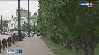 Начало июля в Омске выдалось аномально холодным