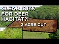 Can Clear Cutting Actually Create Deer Habitat
