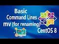 - command renaming files and directories on Linux CentOS 8