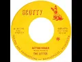THE LITTER - Action Woman
