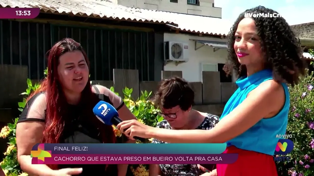 Resgate emocionante: conheça a história do Jimy, o cachorrinho salvo pelos Bombeiros