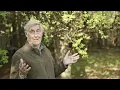 Niagara Escarpment Obelisk: Designing Hidden Garden Paths of Mystery