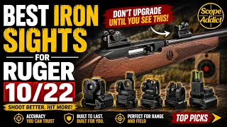 Best Iron Sights for Ruger in 2026