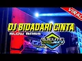 Download Lagu DJ VIRAL!!!!!_BIDADARI CINTA (DJ ELITE PROJECT)