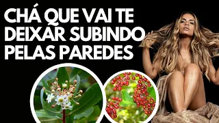 CHÁ QUE VAI TE DEIXAR SUBINDO PELAS PAREDES | Dr Dayan Siebra
