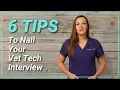 6 Tips to Nail Your Vet Tech Interview