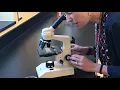 microscope skills