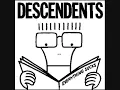 The Descendents - I'm the one