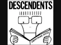 Download Lagu The Descendents - I'm the one