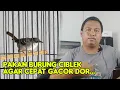Lagu 4 PAKAN BURUNG CIBLEK SUPAYA CEPAT GACOR || EXTRA FOODING CIBLEK AGAR CEPAT GACOR