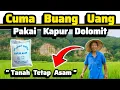 Lagu ‼️Buang Uang Jika Tidak Paham Cara Pakai Kapur Dolomit di Lahan‼️Petani Rugi Besar Tanah Tetap Asam