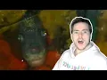 Fish Biologist reacts to ABUSIVE Aquariums