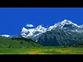 Download Lagu Zindagi Ke Safar Mein Guzar Jaate On Harmonica By Ravindra Goel, Lucknow