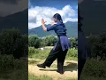 Download Lagu kung fu girl