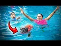 Download Lagu Our PUPPY Almost DROWNED... | The Royalty Family